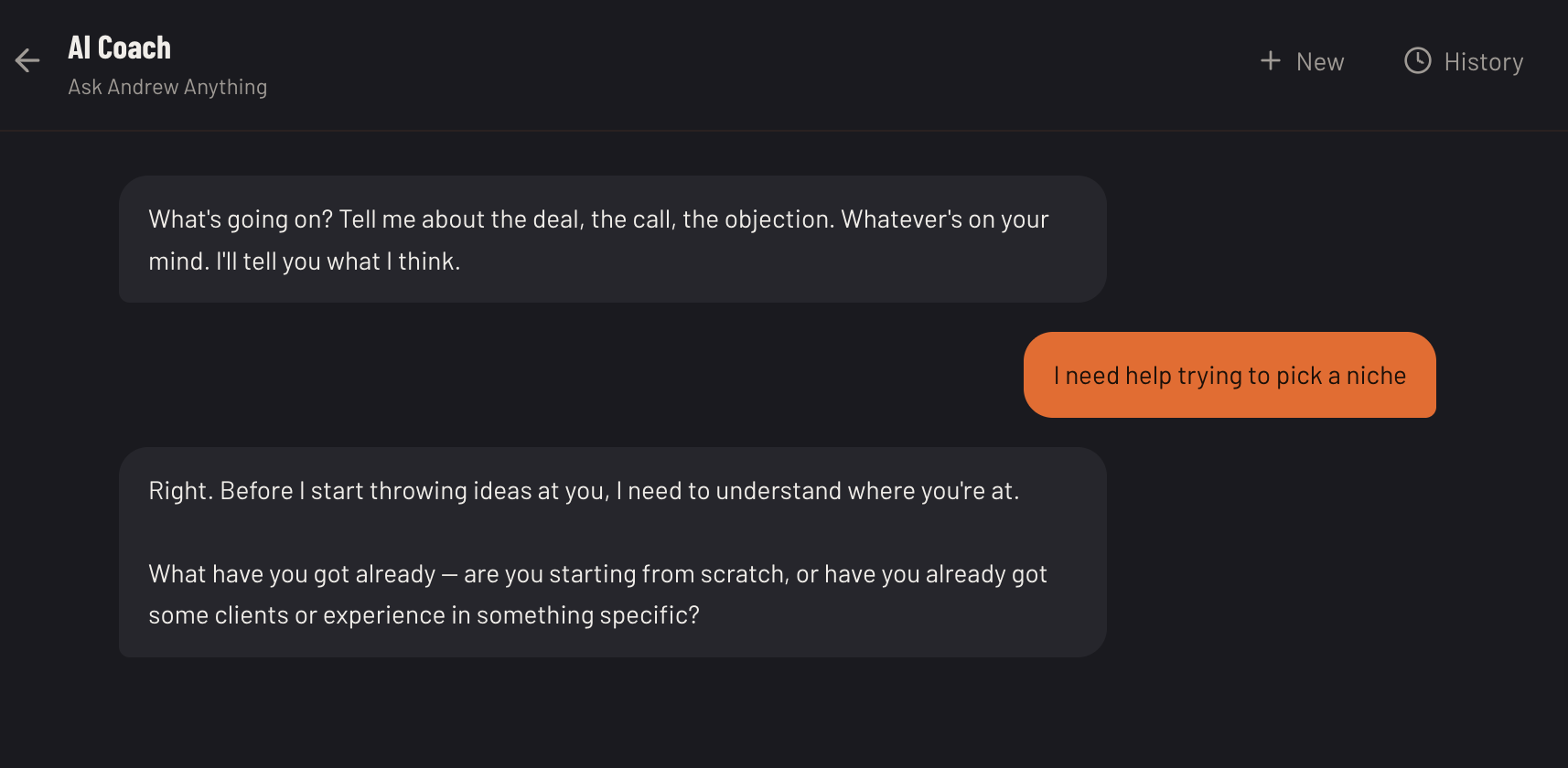 AI Coach conversation helping a user pick a niche, asking about their experience and existing clients